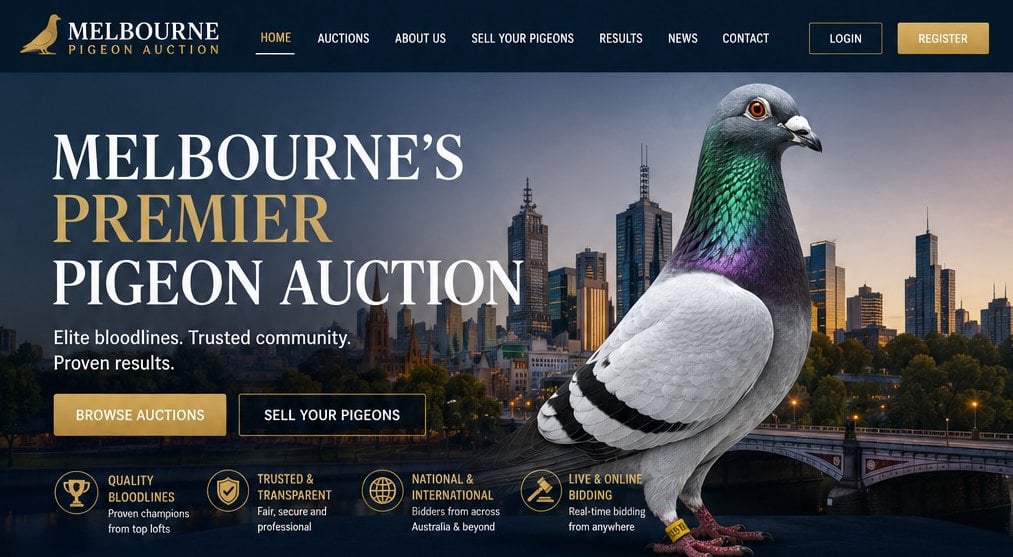 Melbourne Pigeon Auctions