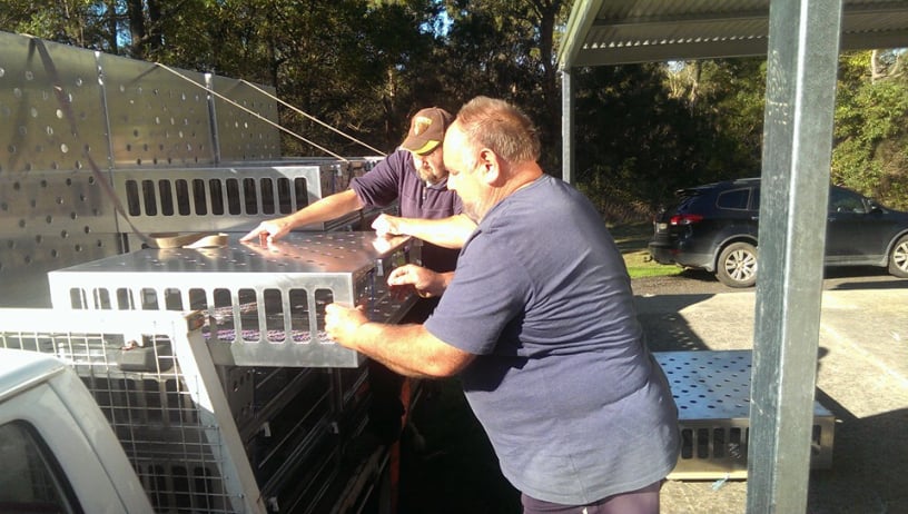 Mobirise Website Builder